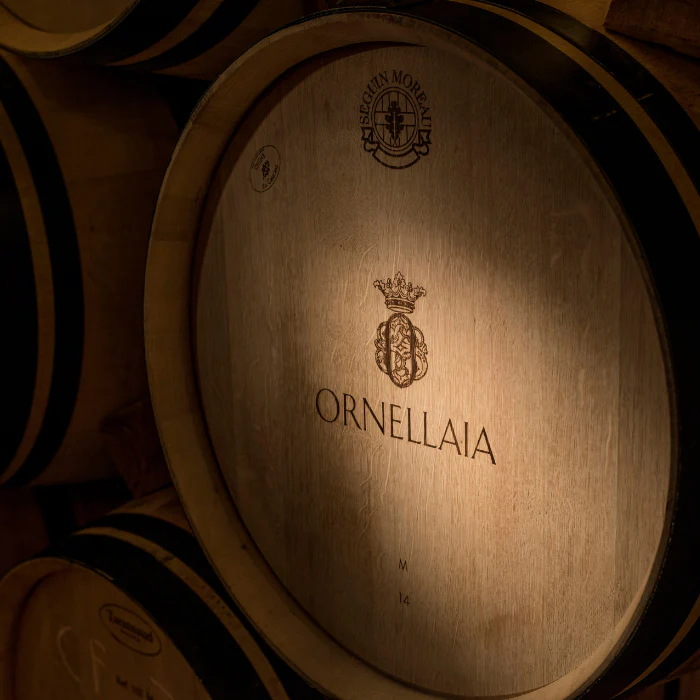 2023 Le Serre Nuove, Toskana, Italien - Image 4