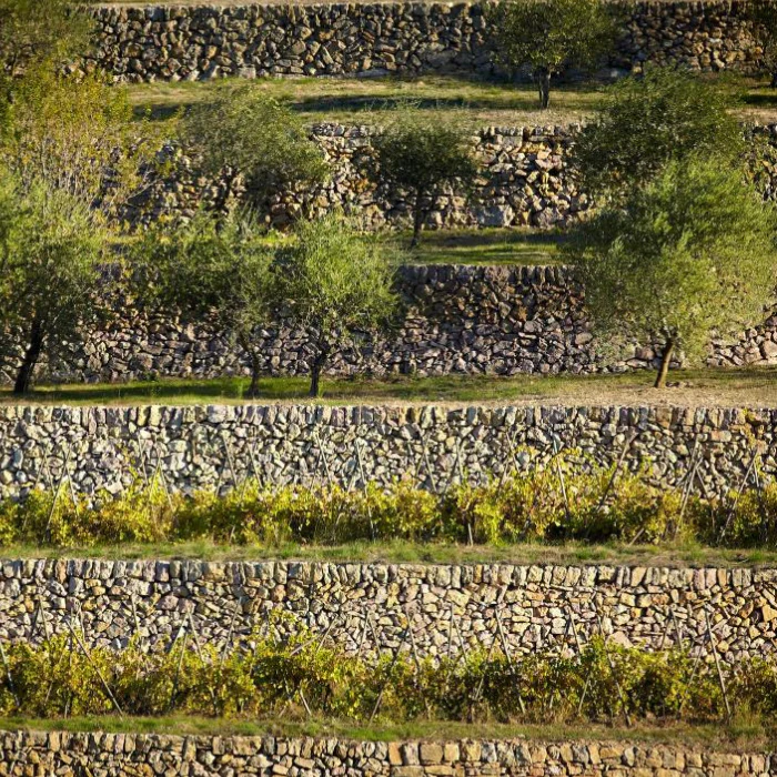 2025 Studio by Miraval Rosé, Provence, Frankreich - Image 3