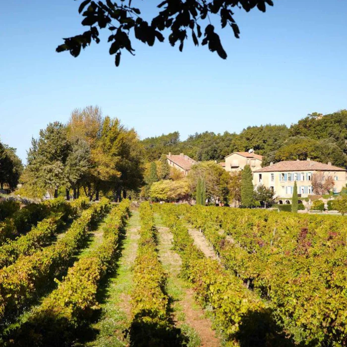 2025 Studio by Miraval Rosé, Provence, Frankreich - Image 4